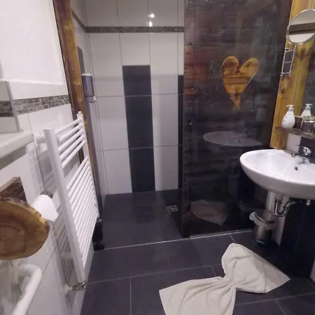 阿尔卑斯体育酒店 *